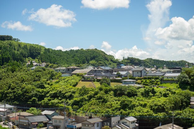 写真 街の空に照らされた木や家