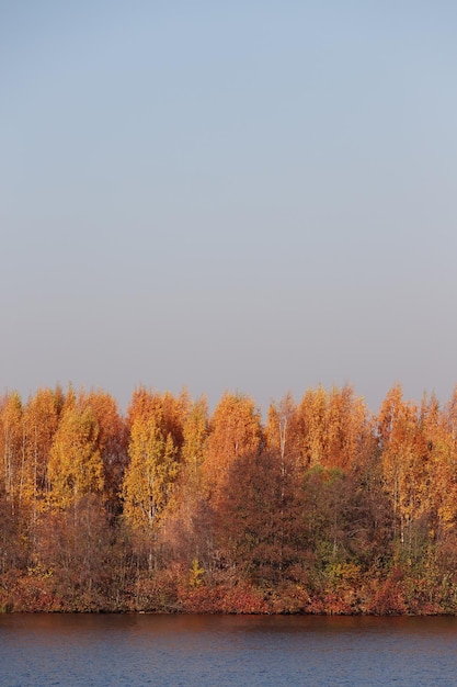 The trees are yellow green orange and red on the bank of the river against the background