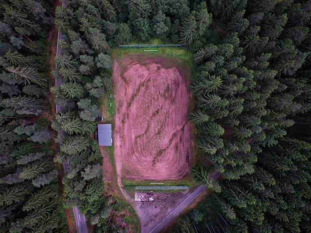 Trees around field