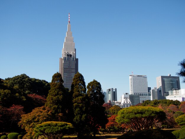 高層ビルの中の公園の秋の木々