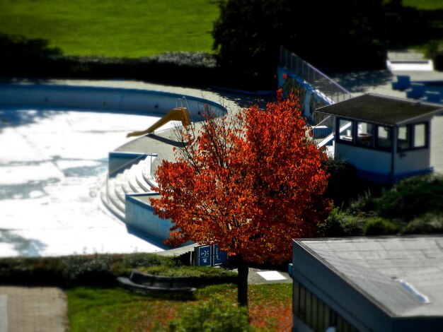 Photo trees in autumn