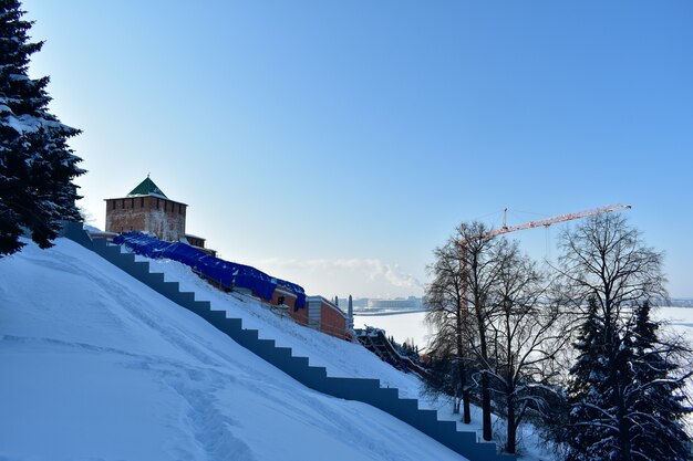 Alberi sulle rive del volga in inverno