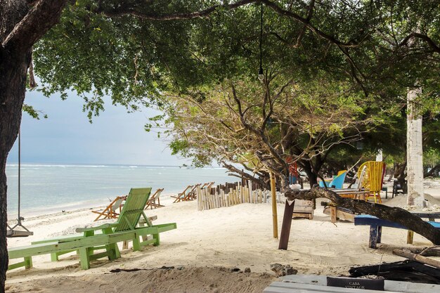 Trees on bench by sea against sky