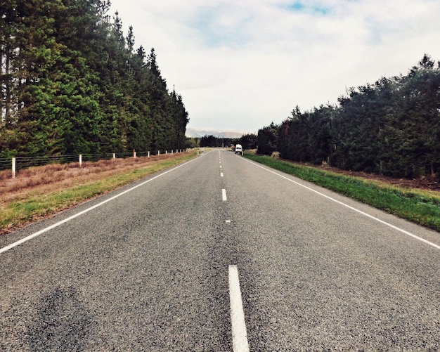 雲の空に照らされた道路の両側の木