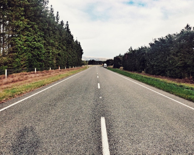 Foto alberi su entrambi i lati della strada contro un cielo nuvoloso