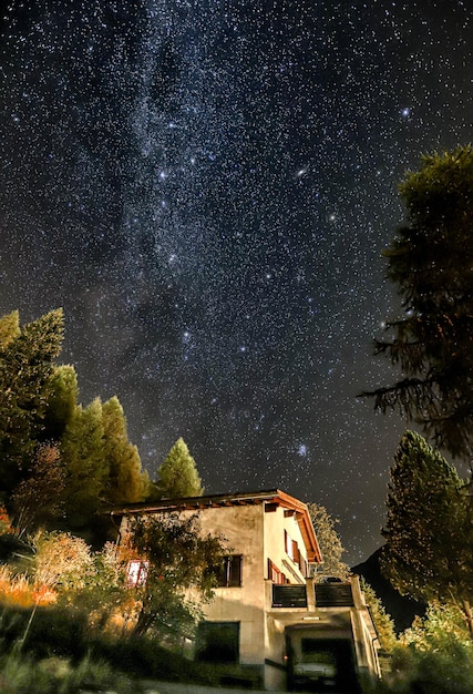 Foto alberi e edifici contro il cielo di notte