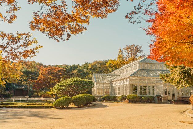 Foto alberi e edifici contro il cielo durante l'autunno