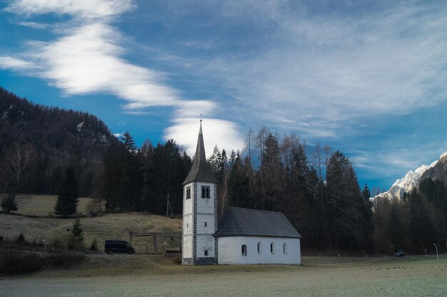 Foto alberi e edifici contro il cielo