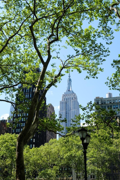 Foto alberi e edifici contro il cielo