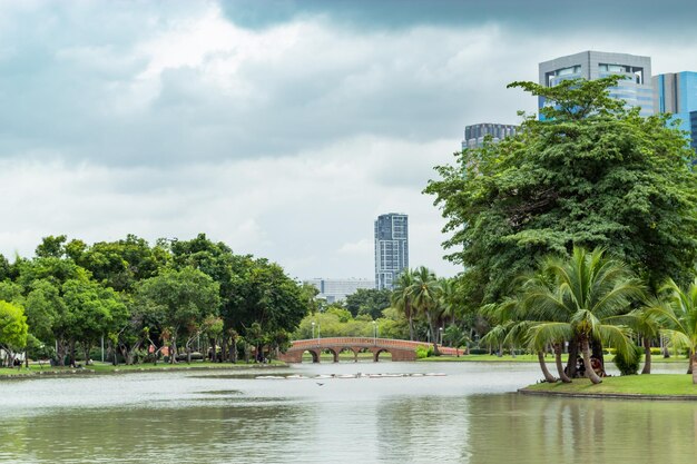 Foto alberi e edifici sul fiume contro il cielo