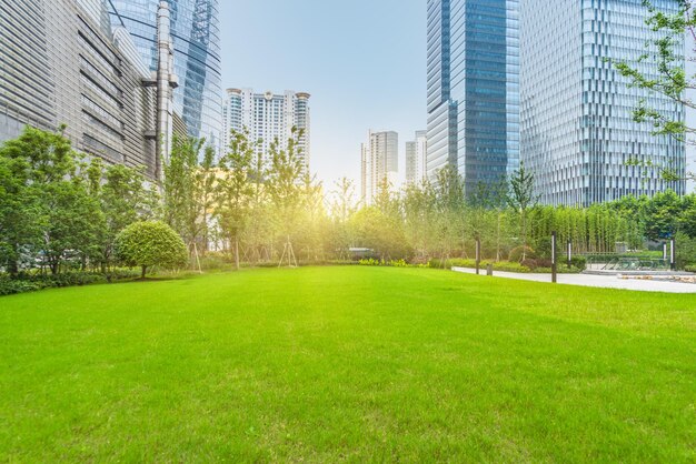 空に照らされた街の木や建物