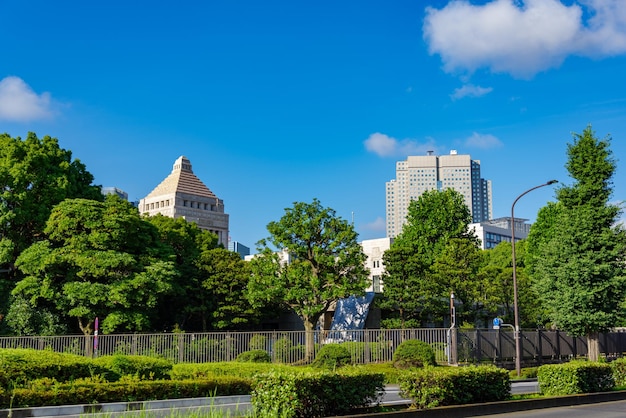 Photo trees and buildings in park against blue sky