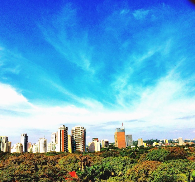 Photo trees by city against sky