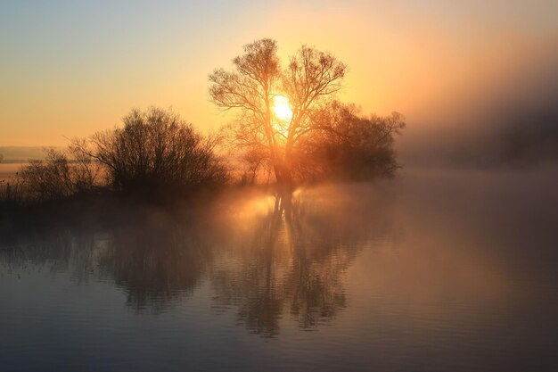 Photo trees by lake against sky during sunset