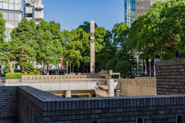 Photo trees by modern buildings against sky in city