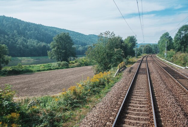 Foto alberi sui binari della ferrovia contro il cielo