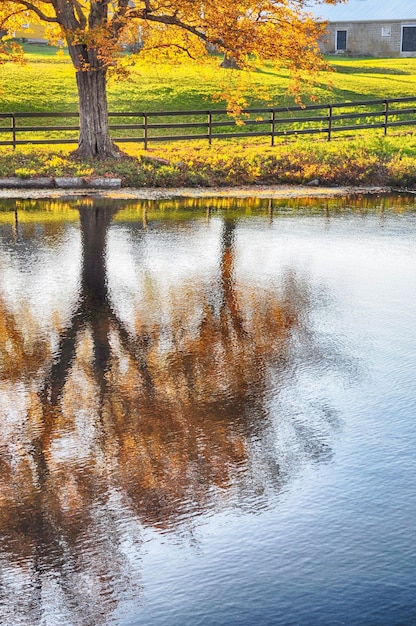 Trees by river against sky during autumn