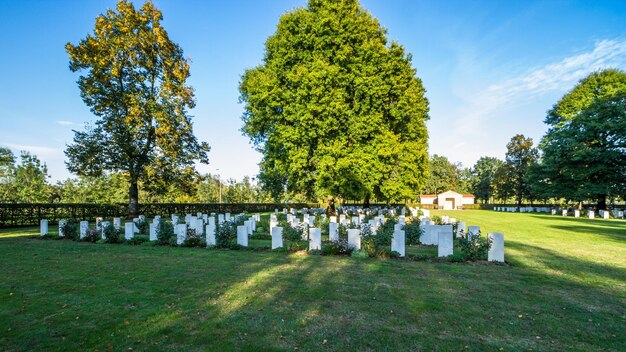 Trees in cemetery against sky