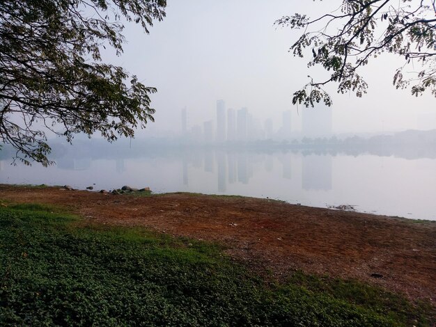 Trees in city against sky during foggy weather