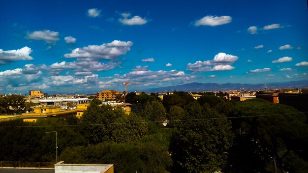 Trees and city against sky