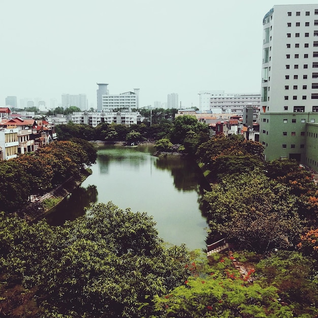 Photo trees and cityscape against clear sky