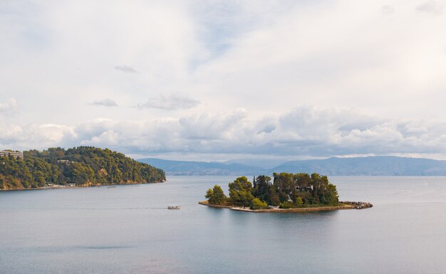 Trees on Corfu island coast, Greece.