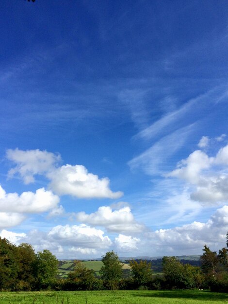 Trees on countryside landscape against blue sky