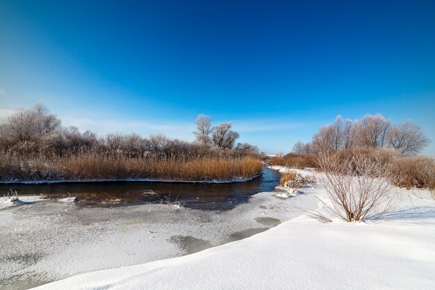 Trees covered with hoarfrost on the banks of a frozen river.