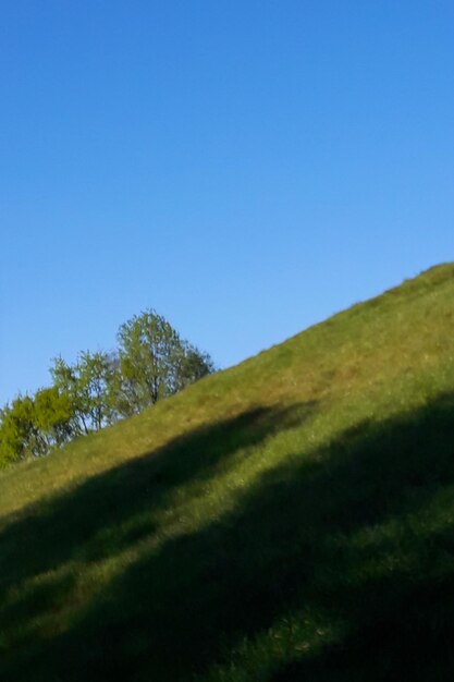 Trees on field against clear blue sky