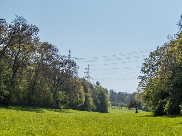 Trees on field against clear sky