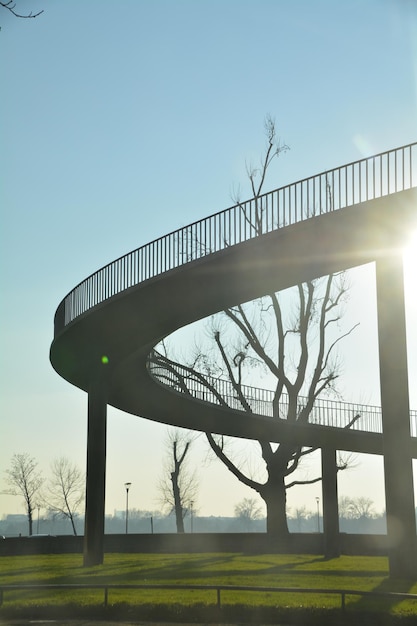 Foto alberi sul campo contro un cielo limpido