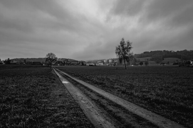 Trees on field against cloudy sky