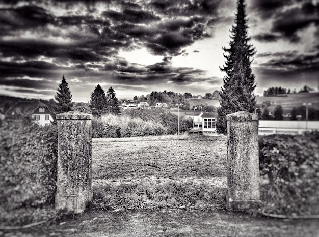 Trees on field against cloudy sky