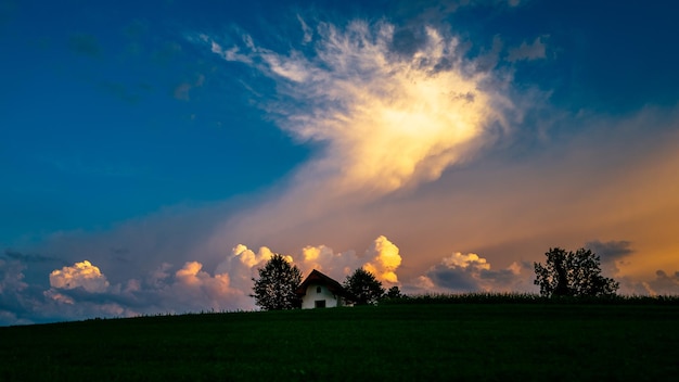 Trees on field against cloudy sky