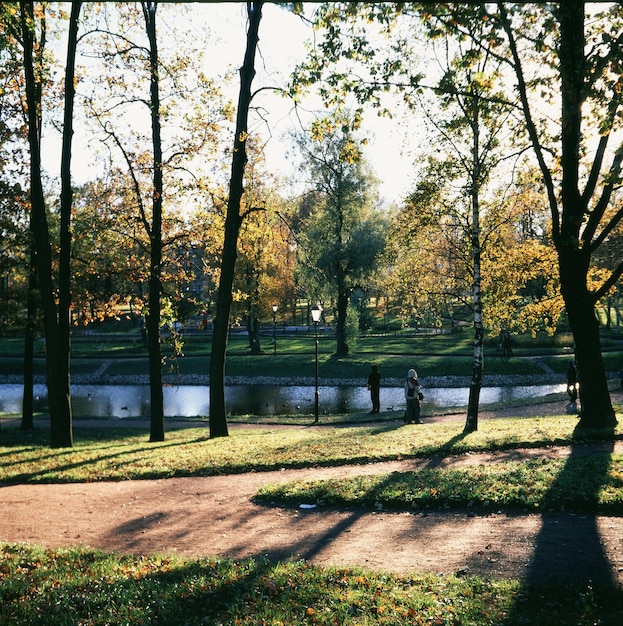 Trees on field against sky during autumn