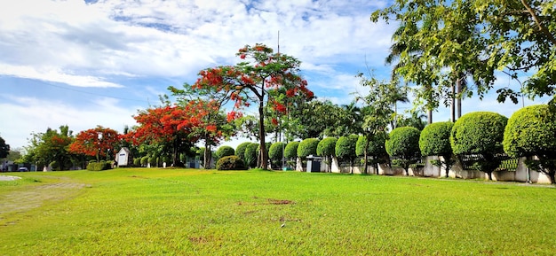 Trees on field against sky during autumn