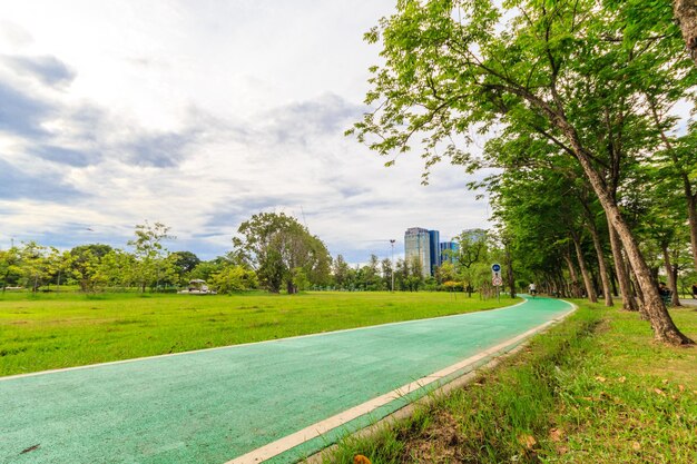 Photo trees on field against sky in city