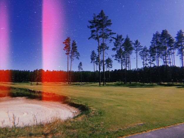 Trees on field against sky at night