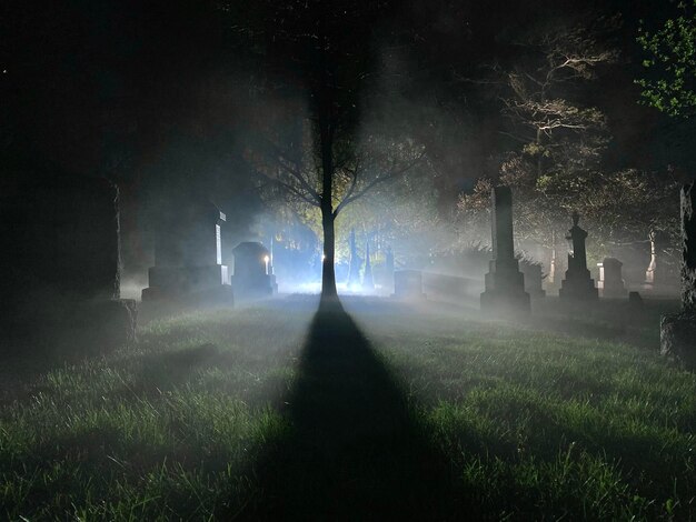 Foto gli alberi sul campo contro il cielo di notte