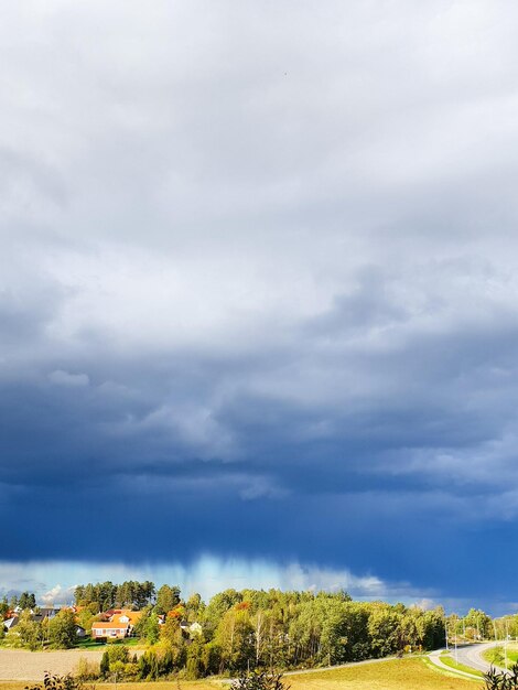 Trees on field against sky