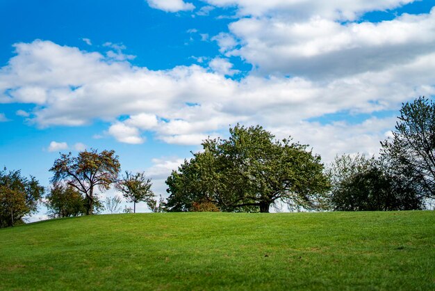 Photo trees on field against sky