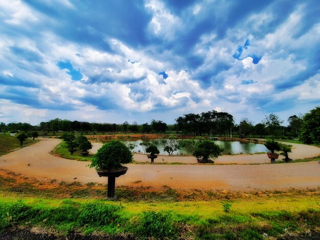 Trees on field against sky