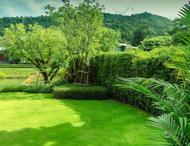 Trees on field in garden