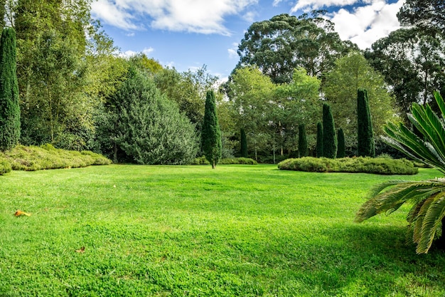 Photo trees on field in park against sky