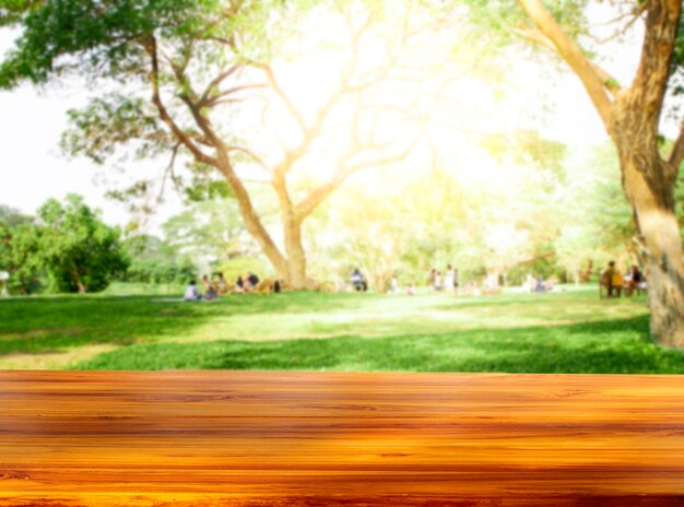 Trees on field in park