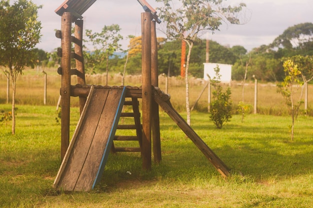 Photo trees on field in park