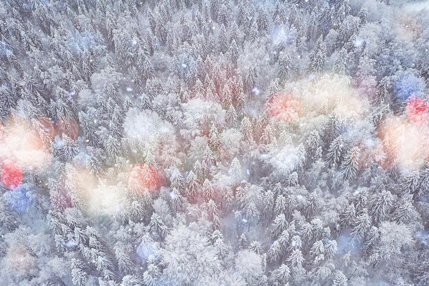 Trees forest frost top view background, abstract drone view\
nature seasonal winter spruce