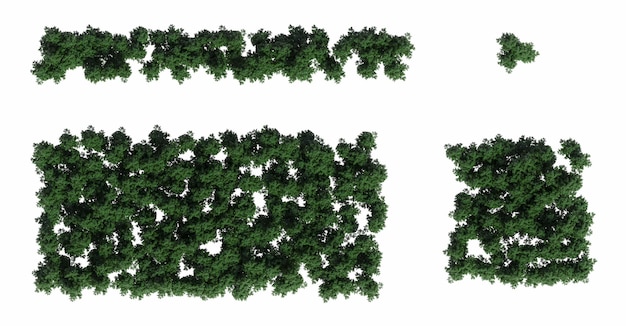 흰색 배경 3D 그림 cg 렌더링에 고립 된 숲의 상위 뷰 영역보기에있는 나무