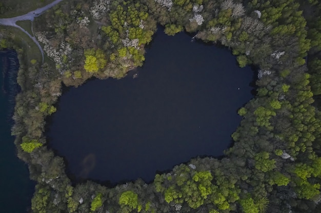 trees forming a hole with a little lake