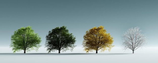 Trees in four seasons of the year spring summer autumn and winter